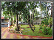 Click to enlarge